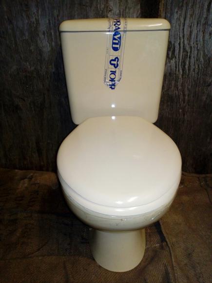 Champagne toilet clearance seat